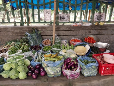 India's retail inflation eases to 7-month low of 3.6 per cent in February | India's retail inflation eases to 7-month low of 3.6 per cent in February India's retail inflation eases to 7-month low of 3.6 per cent in February | India's retail inflation eases to 7-month low of 3.6 per cent in February