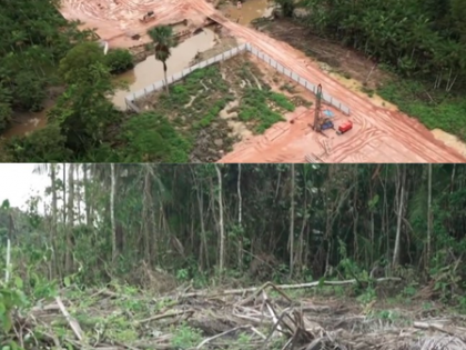 Brazil faces backlash over Amazon deforestation for climate change summit | Brazil faces backlash over Amazon deforestation for climate change summit