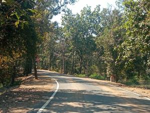 PLFI leader Durga Singh among three Maoists held in Jharkhand, weapons seized | PLFI leader Durga Singh among three Maoists held in Jharkhand, weapons seized PLFI leader Durga Singh among three Maoists held in Jharkhand, weapons seized | PLFI leader Durga Singh among three Maoists held in Jharkhand, weapons seized