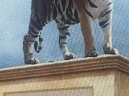 'Rajmata' will be first tigress of Rajasthan to be honoured with installation of statue at Sariska | 'Rajmata' will be first tigress of Rajasthan to be honoured with installation of statue at Sariska 'Rajmata' will be first tigress of Rajasthan to be honoured with installation of statue at Sariska | 'Rajmata' will be first tigress of Rajasthan to be honoured with installation of statue at Sariska