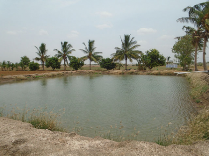 Centre has spent Rs 1.78 lakh crore on water harvesting schemes under MNREGA: Minister | Centre has spent Rs 1.78 lakh crore on water harvesting schemes under MNREGA: Minister Centre has spent Rs 1.78 lakh crore on water harvesting schemes under MNREGA: Minister | Centre has spent Rs 1.78 lakh crore on water harvesting schemes under MNREGA: Minister