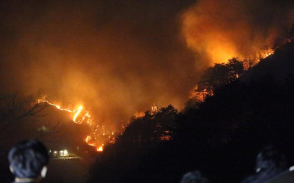 South Korea: Four killed as wildfires ravage southeastern region | South Korea: Four killed as wildfires ravage southeastern region South Korea: Four killed as wildfires ravage southeastern region | South Korea: Four killed as wildfires ravage southeastern region