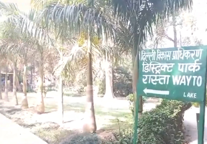 Boy, girl found hanging from tree in Delhi park | Boy, girl found hanging from tree in Delhi park Boy, girl found hanging from tree in Delhi park | Boy, girl found hanging from tree in Delhi park