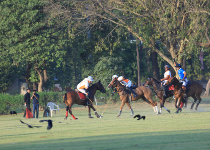 Dynamix Achievers defeat Jindal-Carysil to win 8th straight Indian Open Polo Championship | Dynamix Achievers defeat Jindal-Carysil to win 8th straight Indian Open Polo Championship Dynamix Achievers defeat Jindal-Carysil to win 8th straight Indian Open Polo Championship | Dynamix Achievers defeat Jindal-Carysil to win 8th straight Indian Open Polo Championship