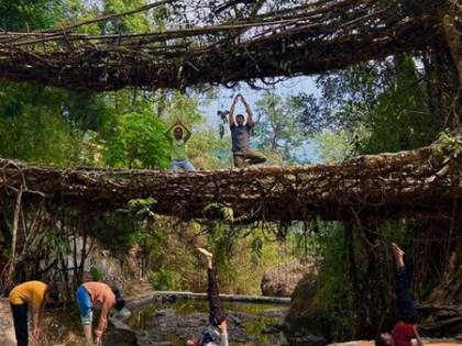 North Eastern Institute of Ayurveda and Homoeopathy organises Yoga event in Meghalaya | North Eastern Institute of Ayurveda and Homoeopathy organises Yoga event in Meghalaya North Eastern Institute of Ayurveda and Homoeopathy organises Yoga event in Meghalaya | North Eastern Institute of Ayurveda and Homoeopathy organises Yoga event in Meghalaya