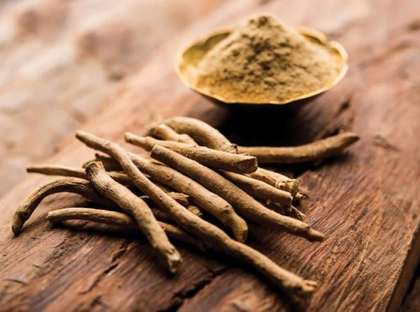 Global research on ashwagandha surges by 111.58 pc between 2019 and 2024: Centre | Global research on ashwagandha surges by 111.58 pc between 2019 and 2024: Centre