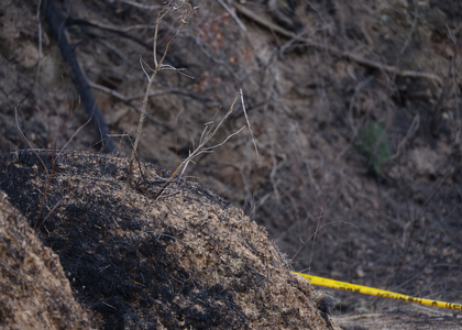 South Korea: Police book man suspected of starting worst-ever wildfires | South Korea: Police book man suspected of starting worst-ever wildfires