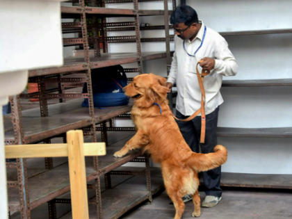 Bomb threat at Coimbatore Collectorate triggers high alert; security ramped up | Bomb threat at Coimbatore Collectorate triggers high alert; security ramped up