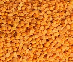 Gujarat govt extends tur dal purchase deadline till April 30 | Gujarat govt extends tur dal purchase deadline till April 30 Gujarat govt extends tur dal purchase deadline till April 30 | Gujarat govt extends tur dal purchase deadline till April 30