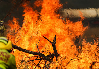 Australia: Out-of-control bushfire triggers evacuation order in Perth | Australia: Out-of-control bushfire triggers evacuation order in Perth Australia: Out-of-control bushfire triggers evacuation order in Perth | Australia: Out-of-control bushfire triggers evacuation order in Perth
