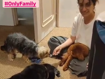 Shraddha Kapoor celebrates her furry baby Shyloh's 14 birthday | Shraddha Kapoor celebrates her furry baby Shyloh's 14 birthday Shraddha Kapoor celebrates her furry baby Shyloh's 14 birthday | Shraddha Kapoor celebrates her furry baby Shyloh's 14 birthday