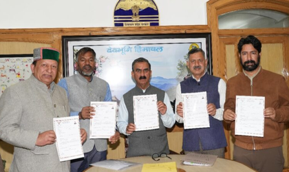 Himachal to procure organic turmeric at Rs 90 per kg | Himachal to procure organic turmeric at Rs 90 per kg Himachal to procure organic turmeric at Rs 90 per kg | Himachal to procure organic turmeric at Rs 90 per kg