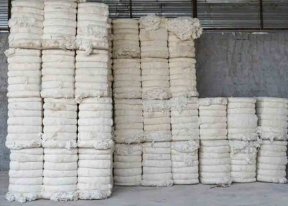 Centre pays Rs 37,450 crore to farmers for cotton procured at MSP | Centre pays Rs 37,450 crore to farmers for cotton procured at MSP Centre pays Rs 37,450 crore to farmers for cotton procured at MSP | Centre pays Rs 37,450 crore to farmers for cotton procured at MSP
