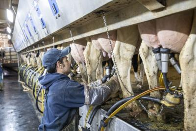 UK bans personal imports of meat, dairy products from all EU countries | UK bans personal imports of meat, dairy products from all EU countries UK bans personal imports of meat, dairy products from all EU countries | UK bans personal imports of meat, dairy products from all EU countries