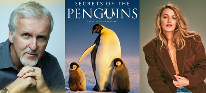 Blake Lively-narrated, James Cameron-backed ‘Secrets of the Penguins’ to tell unprecedented wildlife story | Blake Lively-narrated, James Cameron-backed ‘Secrets of the Penguins’ to tell unprecedented wildlife story Blake Lively-narrated, James Cameron-backed ‘Secrets of the Penguins’ to tell unprecedented wildlife story | Blake Lively-narrated, James Cameron-backed ‘Secrets of the Penguins’ to tell unprecedented wildlife story