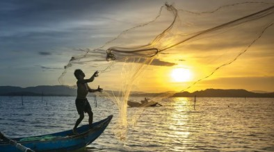 Maha Cabinet approves agriculture status for fishing | Maha Cabinet approves agriculture status for fishing Maha Cabinet approves agriculture status for fishing | Maha Cabinet approves agriculture status for fishing