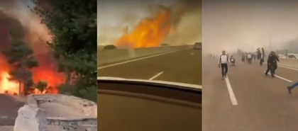Wildfire rages across Israel, sparks national emergency as thousands flee | Wildfire rages across Israel, sparks national emergency as thousands flee Wildfire rages across Israel, sparks national emergency as thousands flee | Wildfire rages across Israel, sparks national emergency as thousands flee