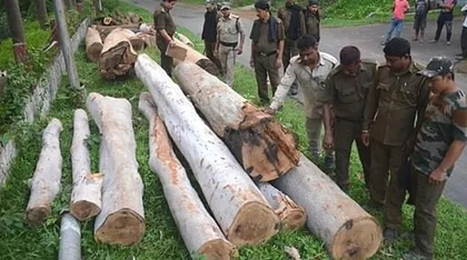 Tripura: Forest Dept to form intelligence wing to curb deforestation | Tripura: Forest Dept to form intelligence wing to curb deforestation Tripura: Forest Dept to form intelligence wing to curb deforestation | Tripura: Forest Dept to form intelligence wing to curb deforestation