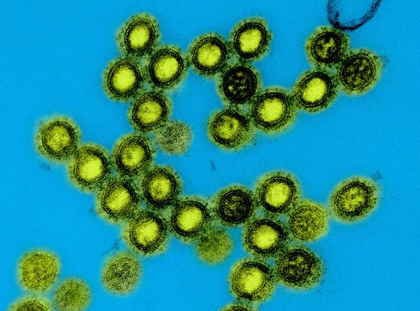 US launches next-generation universal vaccine platform for pandemic-prone viruses | US launches next-generation universal vaccine platform for pandemic-prone viruses US launches next-generation universal vaccine platform for pandemic-prone viruses | US launches next-generation universal vaccine platform for pandemic-prone viruses