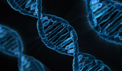 New AI breakthrough to revolutionise diagnosis, treatment of genetic diseases | New AI breakthrough to revolutionise diagnosis, treatment of genetic diseases New AI breakthrough to revolutionise diagnosis, treatment of genetic diseases | New AI breakthrough to revolutionise diagnosis, treatment of genetic diseases
