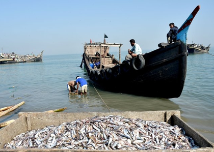TN Fisheries Dept steps up coastal patrols to tackle illegal fishing amid 61-day ban period | TN Fisheries Dept steps up coastal patrols to tackle illegal fishing amid 61-day ban period TN Fisheries Dept steps up coastal patrols to tackle illegal fishing amid 61-day ban period | TN Fisheries Dept steps up coastal patrols to tackle illegal fishing amid 61-day ban period