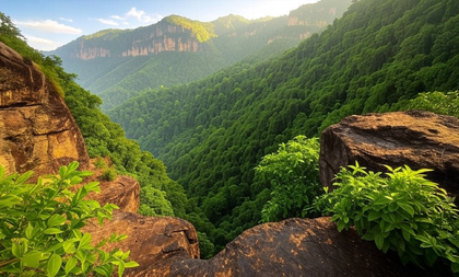 MP approves Pachmarhi land exclusion from sanctuary for tourism development | MP approves Pachmarhi land exclusion from sanctuary for tourism development MP approves Pachmarhi land exclusion from sanctuary for tourism development | MP approves Pachmarhi land exclusion from sanctuary for tourism development