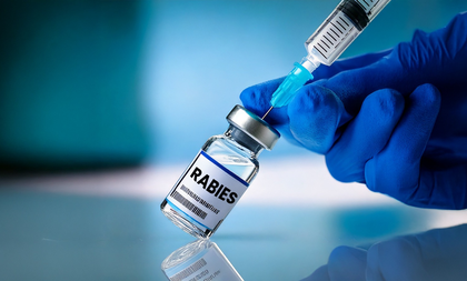 KGMOA calls for pre-exposure rabies vaccination programme in Kerala | KGMOA calls for pre-exposure rabies vaccination programme in Kerala KGMOA calls for pre-exposure rabies vaccination programme in Kerala | KGMOA calls for pre-exposure rabies vaccination programme in Kerala
