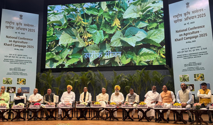 Punjab seeks cash incentive of Rs 17,500 per hectare for paddy diversification | Punjab seeks cash incentive of Rs 17,500 per hectare for paddy diversification Punjab seeks cash incentive of Rs 17,500 per hectare for paddy diversification | Punjab seeks cash incentive of Rs 17,500 per hectare for paddy diversification