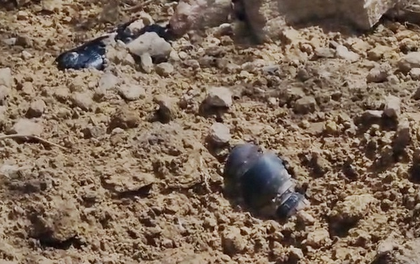 Rajasthan alert: Bomb-like object found in Jaisalmer, probe underway | Rajasthan alert: Bomb-like object found in Jaisalmer, probe underway Rajasthan alert: Bomb-like object found in Jaisalmer, probe underway | Rajasthan alert: Bomb-like object found in Jaisalmer, probe underway