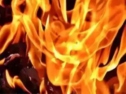 Rajasthan: Mining mafia sets DSP's vehicle ablaze in Sawai Madhopur | Rajasthan: Mining mafia sets DSP's vehicle ablaze in Sawai Madhopur