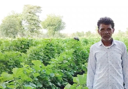 MP: Farmers in Jhabua reap benefits of PM-KISAN scheme | MP: Farmers in Jhabua reap benefits of PM-KISAN scheme MP: Farmers in Jhabua reap benefits of PM-KISAN scheme | MP: Farmers in Jhabua reap benefits of PM-KISAN scheme