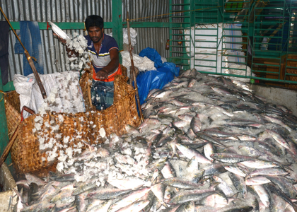 India's seafood exports surge despite global uncertainties | India's seafood exports surge despite global uncertainties India's seafood exports surge despite global uncertainties | India's seafood exports surge despite global uncertainties