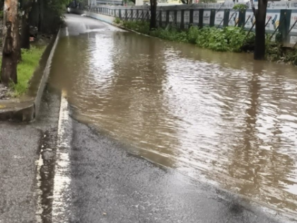 Bengaluru flooding: City’s reputation hit globally, says BJP leader | Bengaluru flooding: City’s reputation hit globally, says BJP leader Bengaluru flooding: City’s reputation hit globally, says BJP leader | Bengaluru flooding: City’s reputation hit globally, says BJP leader