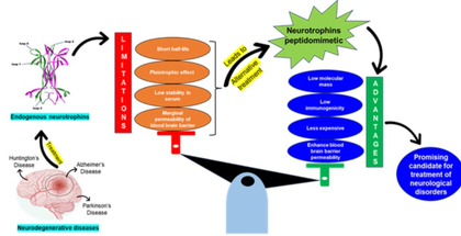 Indian scientists find drugs with potential to treat neurodegenerative disorders | Indian scientists find drugs with potential to treat neurodegenerative disorders Indian scientists find drugs with potential to treat neurodegenerative disorders | Indian scientists find drugs with potential to treat neurodegenerative disorders