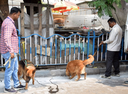 Rajasthan: Bomb threat at Jodhpur Collectorate triggers massive security search | Rajasthan: Bomb threat at Jodhpur Collectorate triggers massive security search