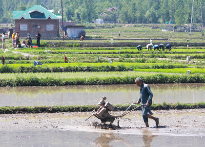 Over 6.1 cr Indian farmers have Aadhar-like digital IDs linked to land records | Over 6.1 cr Indian farmers have Aadhar-like digital IDs linked to land records Over 6.1 cr Indian farmers have Aadhar-like digital IDs linked to land records | Over 6.1 cr Indian farmers have Aadhar-like digital IDs linked to land records