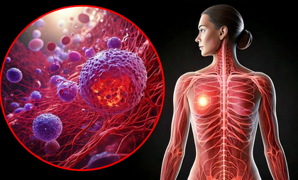 Study finds common antidepressant can shrink tumour growth, fight cancer | Study finds common antidepressant can shrink tumour growth, fight cancer Study finds common antidepressant can shrink tumour growth, fight cancer | Study finds common antidepressant can shrink tumour growth, fight cancer