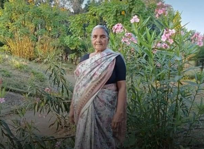 Elderly woman trampled to death by wild elephant in TN, another woman injured | Elderly woman trampled to death by wild elephant in TN, another woman injured