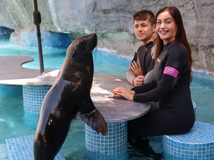 Surbhi Chandna enjoys a playful day with dolphins in Abu Dhabi | Surbhi Chandna enjoys a playful day with dolphins in Abu Dhabi Surbhi Chandna enjoys a playful day with dolphins in Abu Dhabi | Surbhi Chandna enjoys a playful day with dolphins in Abu Dhabi