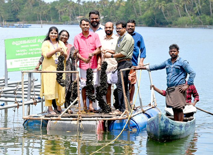 CMFRI's mussel farming project logs success, extension mulled | CMFRI's mussel farming project logs success, extension mulled CMFRI's mussel farming project logs success, extension mulled | CMFRI's mussel farming project logs success, extension mulled