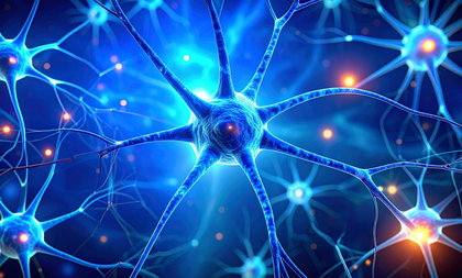 Study shows impact of weight loss drugs on nerve cells in brain | Study shows impact of weight loss drugs on nerve cells in brain Study shows impact of weight loss drugs on nerve cells in brain | Study shows impact of weight loss drugs on nerve cells in brain