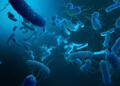 Dangerous antibiotic-resistant bacteria discovered in Red Sea, Mediterranean | Dangerous antibiotic-resistant bacteria discovered in Red Sea, Mediterranean Dangerous antibiotic-resistant bacteria discovered in Red Sea, Mediterranean | Dangerous antibiotic-resistant bacteria discovered in Red Sea, Mediterranean