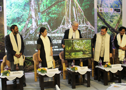 Meghalaya govt pushes for UNESCO focus on living root bridges | Meghalaya govt pushes for UNESCO focus on living root bridges Meghalaya govt pushes for UNESCO focus on living root bridges | Meghalaya govt pushes for UNESCO focus on living root bridges