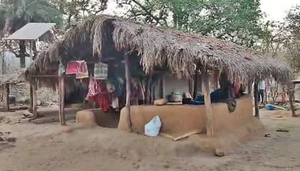 Niyad Nellanar scheme brings lasting changes in Chhattisgarh's Chilkapalli village | Niyad Nellanar scheme brings lasting changes in Chhattisgarh's Chilkapalli village Niyad Nellanar scheme brings lasting changes in Chhattisgarh's Chilkapalli village | Niyad Nellanar scheme brings lasting changes in Chhattisgarh's Chilkapalli village