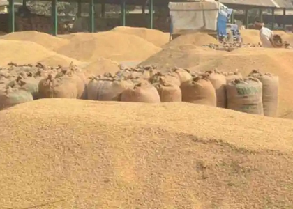 India’s food production surges to record high of 354 million tonnes in 2024-25 | India’s food production surges to record high of 354 million tonnes in 2024-25 India’s food production surges to record high of 354 million tonnes in 2024-25 | India’s food production surges to record high of 354 million tonnes in 2024-25