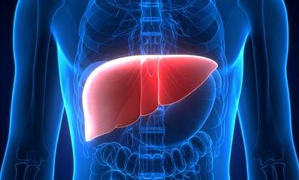 Study shows how plastic particles in food, beverages can harm your liver | Study shows how plastic particles in food, beverages can harm your liver Study shows how plastic particles in food, beverages can harm your liver | Study shows how plastic particles in food, beverages can harm your liver