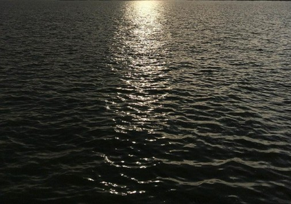 Veeranam lake reaches full capacity, boosting irrigation, drinking water supply of Chennai | Veeranam lake reaches full capacity, boosting irrigation, drinking water supply of Chennai Veeranam lake reaches full capacity, boosting irrigation, drinking water supply of Chennai | Veeranam lake reaches full capacity, boosting irrigation, drinking water supply of Chennai