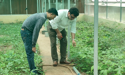 HADP boosts horticulture in J&K’s Poonch, doubling farmers’ income | HADP boosts horticulture in J&K’s Poonch, doubling farmers’ income HADP boosts horticulture in J&K’s Poonch, doubling farmers’ income | HADP boosts horticulture in J&K’s Poonch, doubling farmers’ income