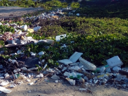 After plastic found in dead elephant's belly, TN forest division flags open waste dumping | After plastic found in dead elephant's belly, TN forest division flags open waste dumping