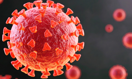 Study shows how Covid virus shields itself during replication | Study shows how Covid virus shields itself during replication Study shows how Covid virus shields itself during replication | Study shows how Covid virus shields itself during replication